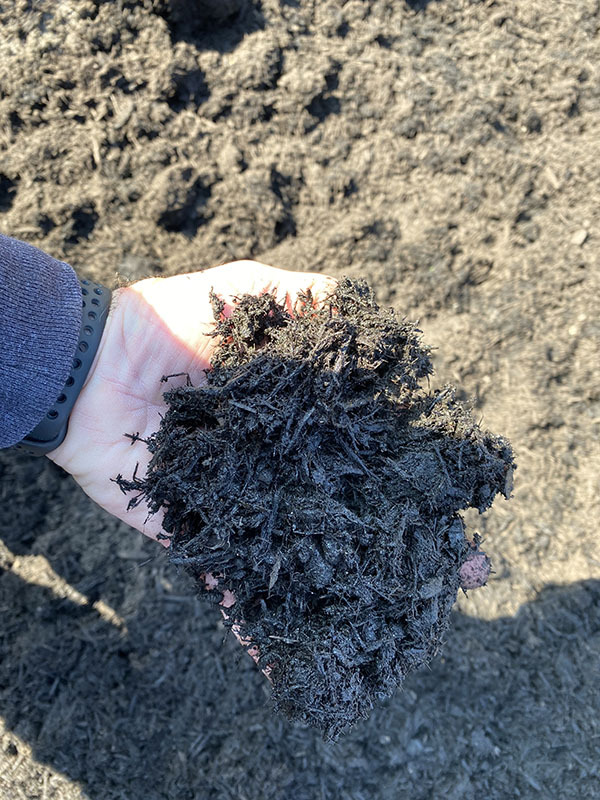 Hand holding pile of mulch